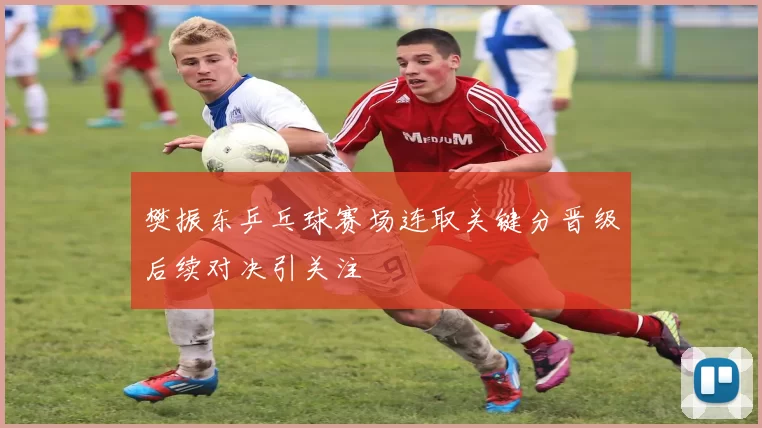 樊振东乒乓球赛场连取关键分晋级后续对决引关注