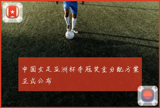 中国女足亚洲杯夺冠奖金分配方案正式公布