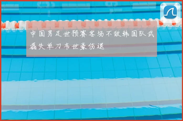 中国男足世预赛客场不敌韩国队武磊失单刀韦世豪伤退