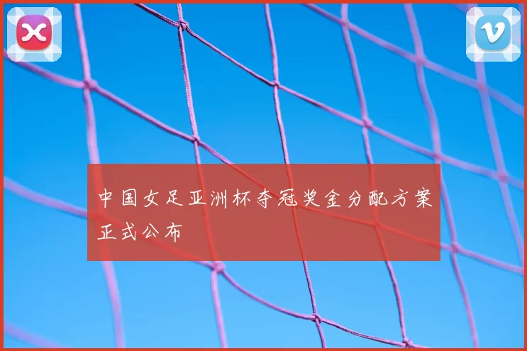 中国女足亚洲杯夺冠奖金分配方案正式公布